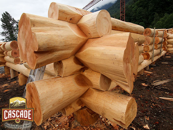 Flared Log Western Red-cedar Log Flares - News - iChilliwack