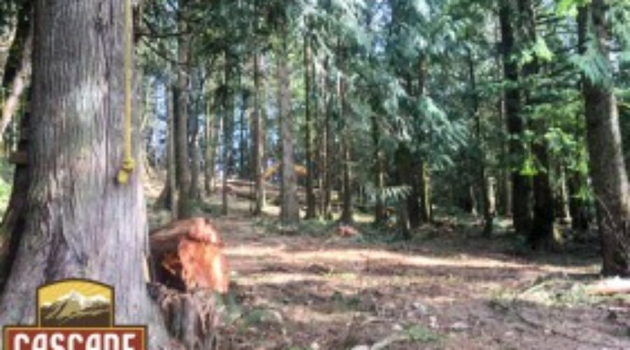 Selective Harvest – Sustainable Logging