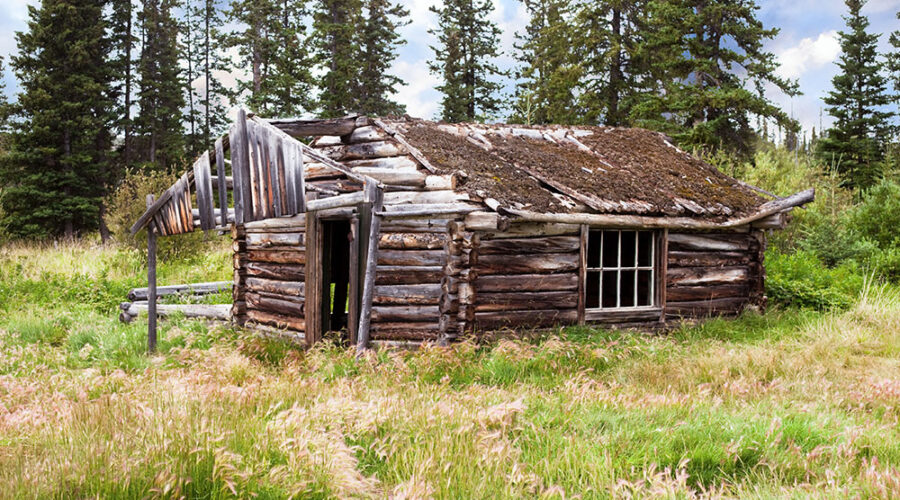 The Environmental Footprint of a Handcrafted Log Home