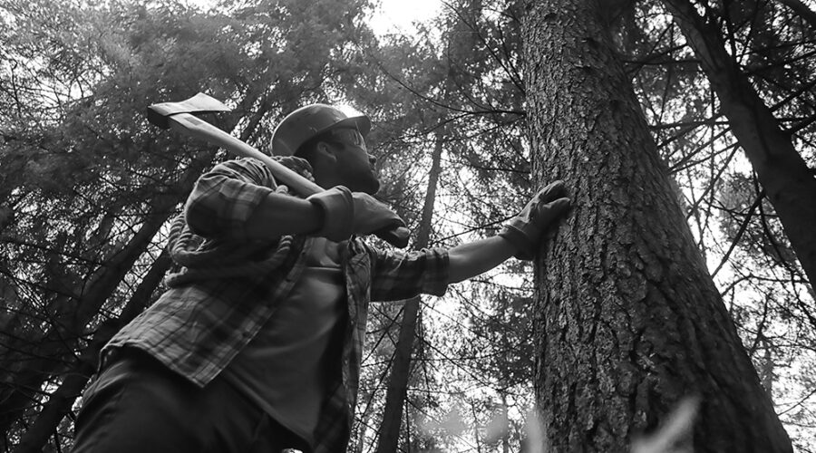 A Day in the Life of a Pacific Northwest Lumberjack