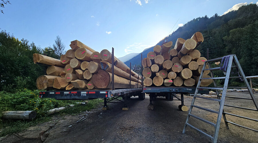 Timber That Travels